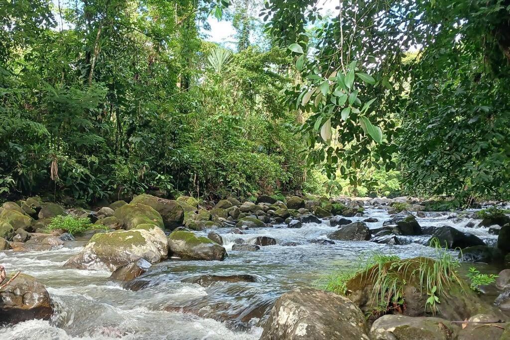 Villas Toecu - Casa Colibri La Fortuna Buitenkant foto