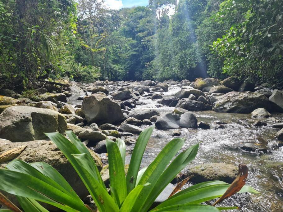 Villas Toecu - Casa Colibri La Fortuna Buitenkant foto